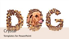 Presentation with dog food - Cool new presentation theme with dachshund dog coming out from the letter o licking lips with this delicious dog food backdrop and a coral colored foreground