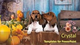  Presentation with cute christmas pug puppy dog - PPT theme having dachshund-dog-piebald-puppy background and a  colored foreground