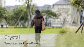  Presentation with dachshund - Presentation theme with dachshund-dog-walking background and a mint green colored foreground