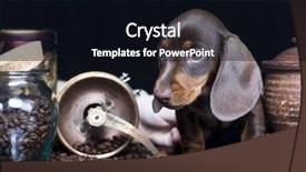  Presentation with sack of coffee beans - Colorful presentation enhanced with dachshund puppy and coffee beans backdrop and a  colored foreground