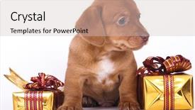  Presentation with new year - Beautiful PPT theme featuring dachshund puppy and new year backdrop and a soft green colored foreground