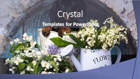  Presentation with dachshund - Slide deck enhanced with dachshund-puppy-black-tan-color background and a gray colored foreground