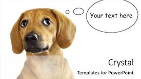 Presentation with dachshund - Cool new PPT theme with dachshund puppy isolated over a white background backdrop and a white colored foreground