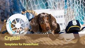  Presentation with snail - Presentation theme consisting of dachshund puppy sailor and sea background and a tawny brown colored foreground