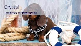  Presentation with dachshund - Audience pleasing PPT theme consisting of dachshund-puppy-sailor-and-sea backdrop and a sky blue colored foreground