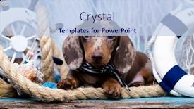  Presentation with islamic decorations decoration and motif - Beautiful PPT layouts featuring dachshund-puppy-sailor-and-sea backdrop and a light blue colored foreground