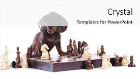  Presentation with book glasses - PPT layouts having dachshundr in glasses and book background and a white colored foreground