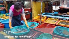  Presentation with fish port - 