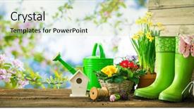  Presentation with gardening - Amazing PPT layouts having daffodil - gardening tools and spring flowers backdrop and a soft green colored foreground