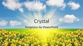  Presentation with fern sun - Audience pleasing slide set consisting of daffodil - spring field and sun backdrop and a light blue colored foreground