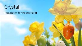  Presentation with daffodil - PPT theme having daffodil flower with easter egg against blue sky background and a arctic colored foreground