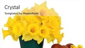  Presentation with chicks - Amazing presentation theme having daffodil flowers in a green metal vase with three speckled brown eggs and toy chicks over white background backdrop and a white colored foreground