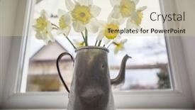  Presentation with tea - Beautiful presentation theme featuring daffodils-in-tea-pot backdrop and a soft green colored foreground