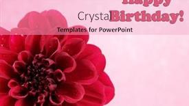  Presentation with dahlia - 