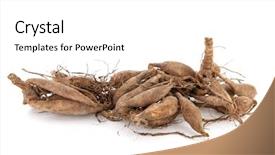  Presentation with dahlia - Slide set featuring dahlia tubers isolated over white background and a  colored foreground