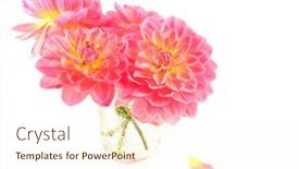  Presentation with jam - 