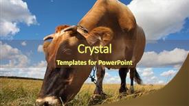  Presentation with sky blue - Slide set with  background and a  colored foreground