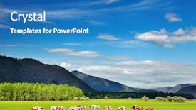  Presentation with blue mountain - Cool new PPT theme with dairy farm - mountain landscape with grazing cows backdrop and a teal colored foreground