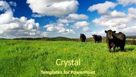  Presentation with dairy - Cool new slides with area of ancient itanos near vai beach at crete island in greece erimoupoli site backdrop and a light gray colored foreground