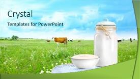  Presentation with dairy cow - Presentation design with dairy products and cows background and a cool aqua colored foreground