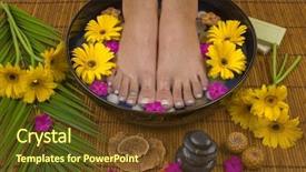  Presentation with gerbera daisies - PPT theme having daisies healing stones olive oil background and a tawny brown colored foreground