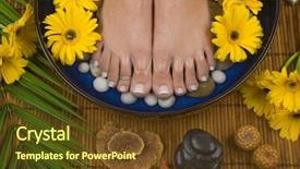  Presentation with gerbera daisies - Slides enhanced with daisies healing stones olive oil background and a tawny brown colored foreground