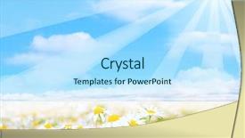  Presentation with sun cartoon - Slides with daisies under cartoon sun background and a sky blue colored foreground