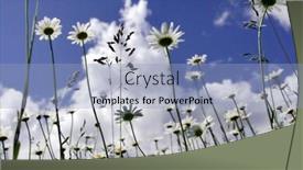  Presentation with sky blue - Beautiful PPT theme featuring daisy-and-blue-sky backdrop and a light blue colored foreground