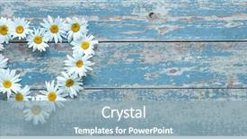  Presentation with daisy - Colorful slide set enhanced with daisy flowers in heart shape backdrop and a light blue colored foreground