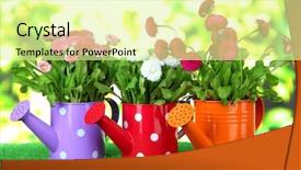  Presentation with daisy - PPT layouts with daisy flowers on grass background and a blonde colored foreground