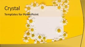  Presentation with card holiday flowers abstract - Slide deck enhanced with daisy flowers on the paper background and a yellow colored foreground