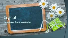  Presentation with daisy - PPT layouts with daisy-flowers-with-blackboard background and a  colored foreground