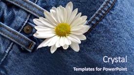  Presentation with denim - Beautiful presentation featuring daisy in denim pocket backdrop and a ocean colored foreground