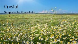  Presentation with nature meadow baby and child - Colorful presentation theme enhanced with daisy meadow composition of nature backdrop and a light blue colored foreground