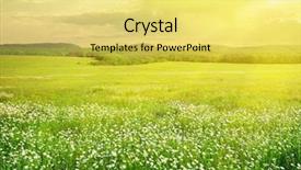  Presentation with nature design - Slide deck with daisy meadow nature element background and a yellow colored foreground