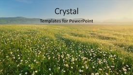  Presentation with nature meadow baby and child - Colorful PPT theme enhanced with daisy meadow on foggy morning backdrop and a light blue colored foreground