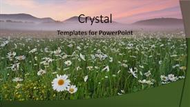  Presentation with nature meadow baby and child - Colorful PPT theme enhanced with daisy meadow on foggy morning backdrop and a coral colored foreground