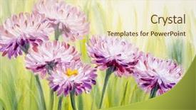  Presentation with daisy - Presentation theme enhanced with daisy oil painting background and a cream colored foreground