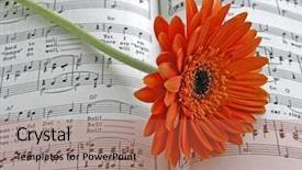  Presentation with gerbera daisy - Presentation enhanced with  background and a  colored foreground