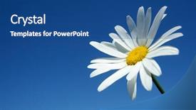  Presentation with sky - Cool new presentation theme with big black remote control over white background backdrop and a white colored foreground