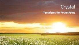  Presentation with green nature - Presentation having daisywheel - green meadow in mountain composition background and a  colored foreground