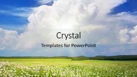  Presentation with luxury mountain nature - Amazing theme having daisywheel - green meadow in mountain composition backdrop and a  colored foreground