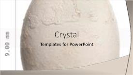  Presentation with egg - Colorful PPT layouts enhanced with dalmatian-pelican-egg-pelecanus-crispus backdrop and a lemonade colored foreground