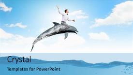  Presentation with dolphin - Presentation theme having dalphins - young cheerful man riding dolphin background and a light blue colored foreground