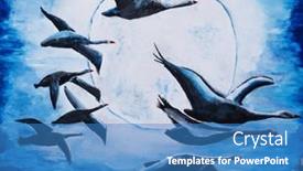  Presentation with graffiti - 