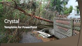  Presentation with rural road - Presentation design enhanced with damaged fallen tree background and a tawny brown colored foreground