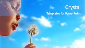  Presentation with dandelion - Slides having may flowers - dandelion and the blue sky background and a teal colored foreground