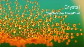  Presentation with dew - Presentation design consisting of dandelion-closeup-in-dew background and a ocean colored foreground