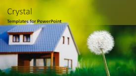  Presentation with green house - PPT theme having dandelion-flower-against-house background and a gold colored foreground