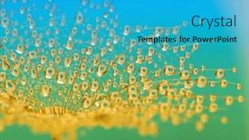  Presentation with dandelion - PPT layouts enhanced with dandelion-flower-background-in-water background and a teal colored foreground
